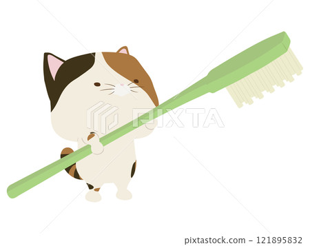 Calico cat with toothbrush 121895832