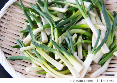 漏勺中的朝月 121895868