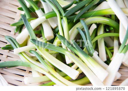 漏勺中的朝月 121895870