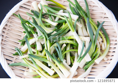 Chives in a colander 121895871