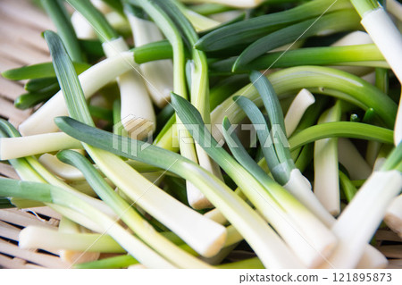 Chives in a colander 121895873