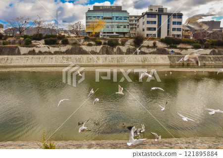 三條京阪，京都市，三條鴨川周圍的城市景觀 121895884