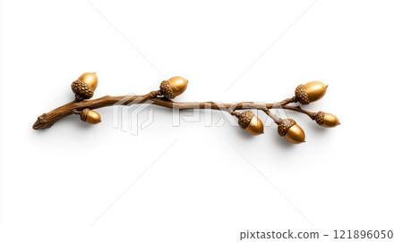 Golden Acorns on Branch 121896050