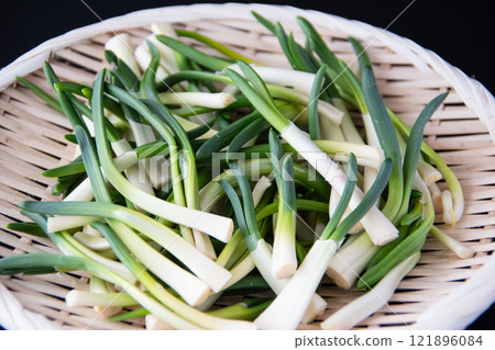 漏勺中的朝月 121896084