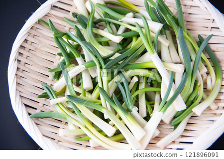 Chives in a colander 121896091