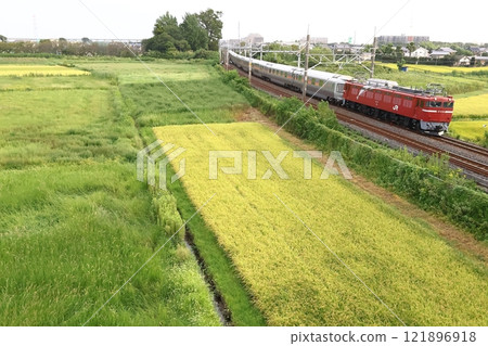 JR東日本的豪華臥舖快車，E26系列，仙后座，仙后座遊記2，由EF81電力機車牽引 121896918