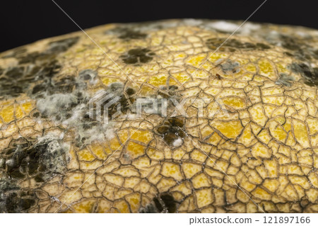 spoiled melon with black spots from mold and mildew 121897166