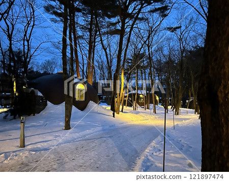 Lights emerge from the snow on a winter morning 121897474
