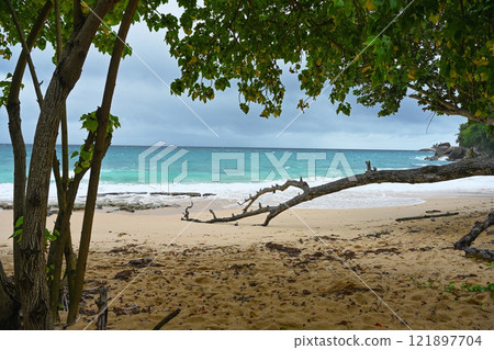 Beach on the shores of the Indian Ocean on the island of Mahe in Seychelles Beach on the shores of the Indian Ocean on the island of Mahe in Seychelles 121897704