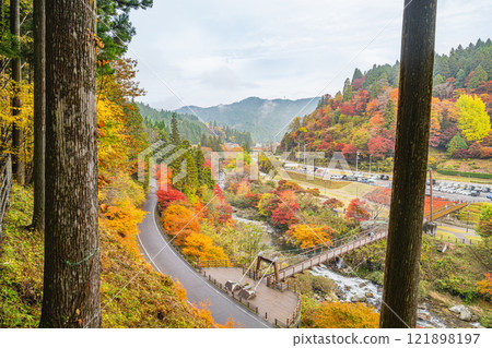 Autumn foliage as seen from the observation deck of Oihira Park in Toyota City (Aichi Prefecture) Autumn foliage as seen from the observation deck of Oihira Park in Toyota City (Aichi Prefecture) 121898197