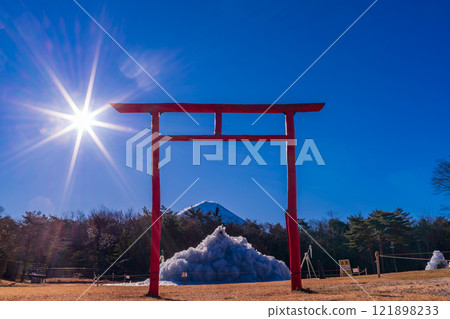 [Yamanashi Prefecture] Mount Fuji seen through the red torii gates of Lake Saiko Wild Bird Forest Park 121898233