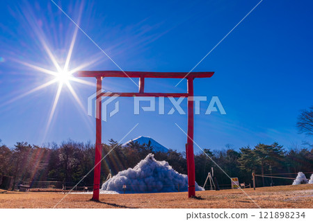 [Yamanashi Prefecture] Mount Fuji seen through the red torii gates of Lake Saiko Wild Bird Forest Park 121898234