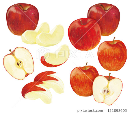 Hand drawn apple illustration 121898603