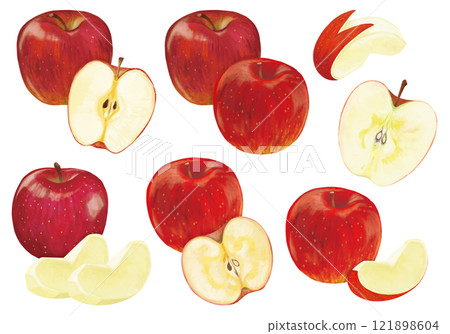Hand drawn apple illustration Hand drawn apple illustration 121898604