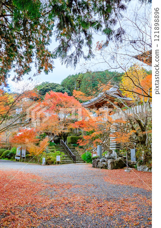 秋天的二子寺 大分縣國東市 121898896