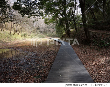 Sakataikeike General Park Sakataikeike General Park 121899326