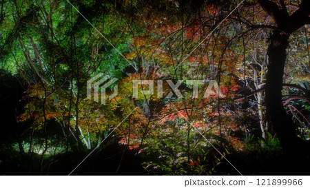 樹與秋天的葉子 121899966