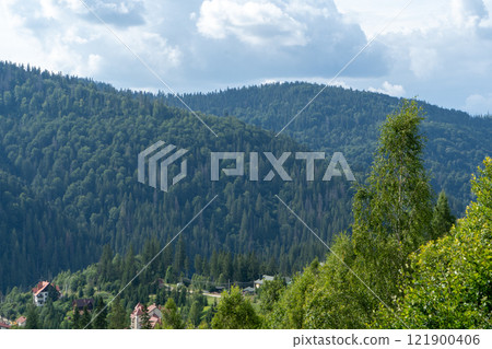 Mountains ranges in the Carpathians. Hills, forest and meadows 121900406