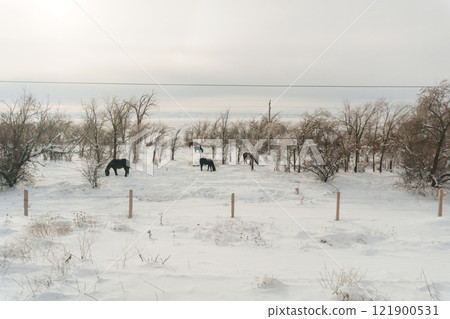 Kazakh steppe in the snow. railway after a blizzard in Kazakhstan 121900531
