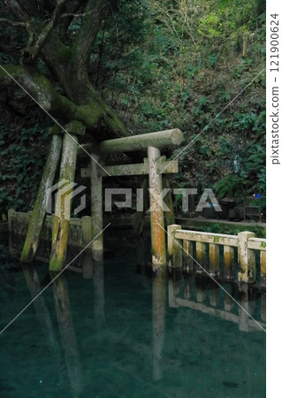 Kashima Shrine 121900624