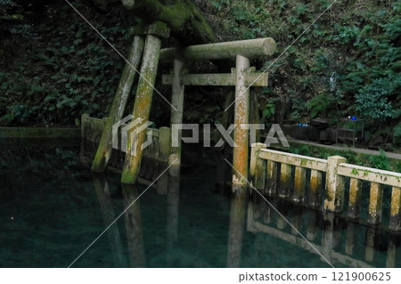 Kashima Shrine 121900625