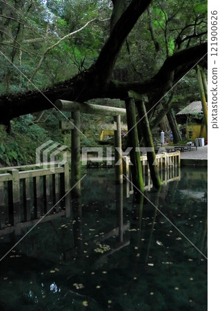 Kashima Shrine 121900626