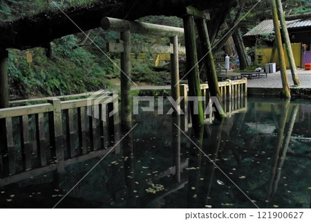 Kashima Shrine 121900627