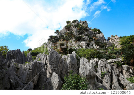 Okinawa: Limestone of Mt. Daisekirin 121900645