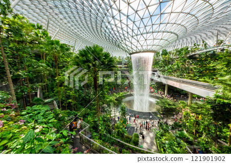 An artificial waterfall cascading through an indoor garden at Jewel in Singapore's Changi Airport 121901902