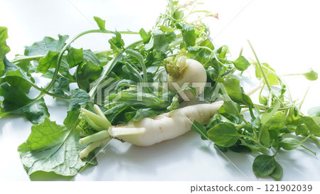 七種草藥 七種草藥 121902039