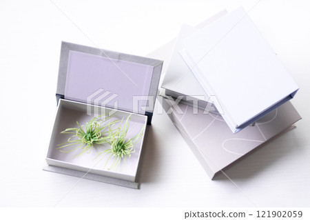 Book Boxes and Book-Shaped Trinket Boxes Book Boxes and Book-Shaped Trinket Boxes 121902059