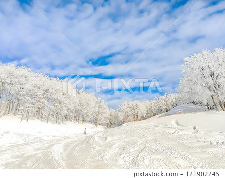 與霜冰和藍天的樹 與霜冰和藍天的樹 121902245