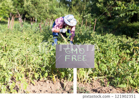 Non GMO vegetable garden 121902351
