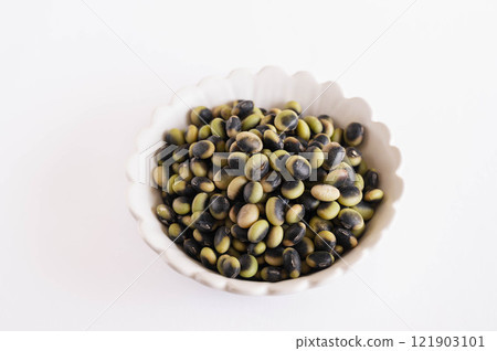Beans 121903101