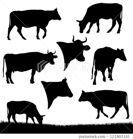 detailed realistic cows black and white vector silhouette set 121903181