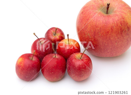 Comparing the size of Alps Otome apples and Sun Fuji apples Comparing the size of Alps Otome apples and Sun Fuji apples 121903261