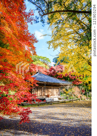 大分縣豐後高田市秋天的富貴寺 大分縣豐後高田市秋天的富貴寺 121903294