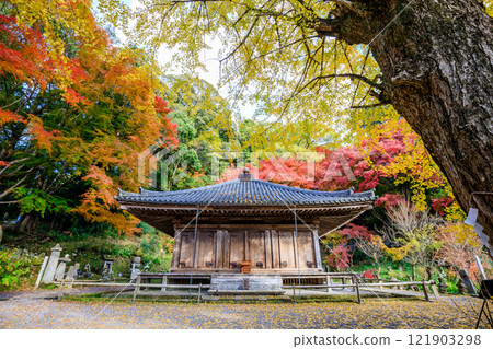 大分縣豐後高田市秋天的富貴寺 大分縣豐後高田市秋天的富貴寺 121903298