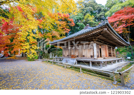 大分縣豐後高田市秋天的富貴寺 121903302