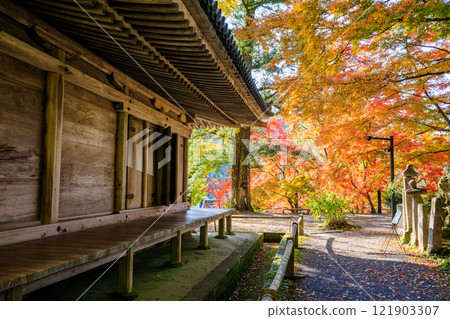 Autumn at Fukiji Temple, Bungotakada City, Oita Prefecture 121903307