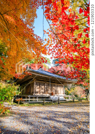 大分縣豐後高田市秋天的富貴寺 大分縣豐後高田市秋天的富貴寺 121903310