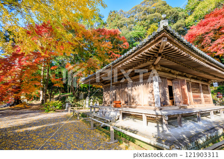大分縣豐後高田市秋天的富貴寺 大分縣豐後高田市秋天的富貴寺 121903311