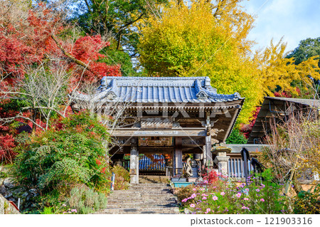 大分縣豐後高田市秋天的富貴寺 大分縣豐後高田市秋天的富貴寺 121903316