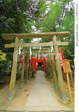 Kashima Shrine Inari Shrine Kashima Shrine Inari Shrine 121903323