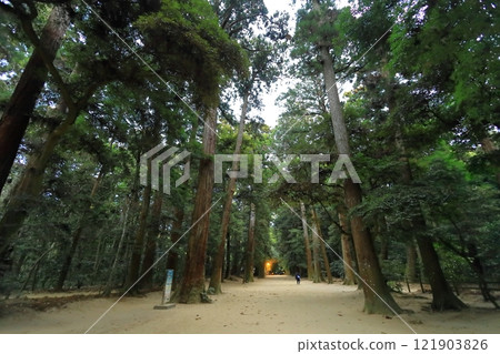 鹿島神社 121903826