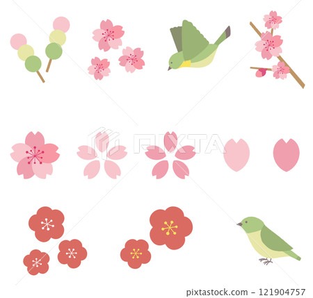 Cute illustration set of plum, cherry blossom and Japanese bush warbler Cute illustration set of plum, cherry blossom and Japanese bush warbler 121904757