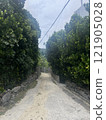 Road to the sea 121905028