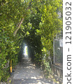 A path surrounded by green 121905032