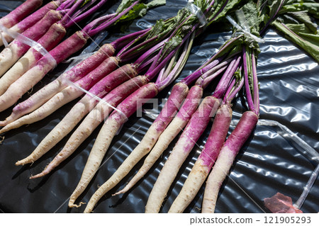 Japanese turnips placed on black plastic 121905293