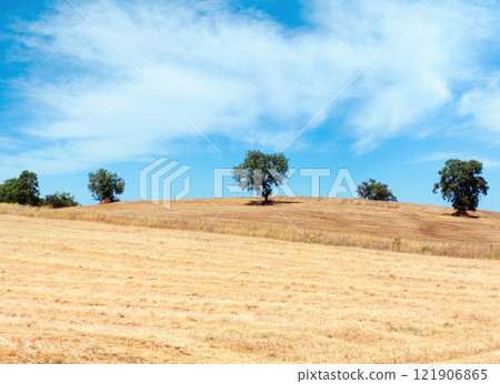 Summer countryside, Italy 121906865
